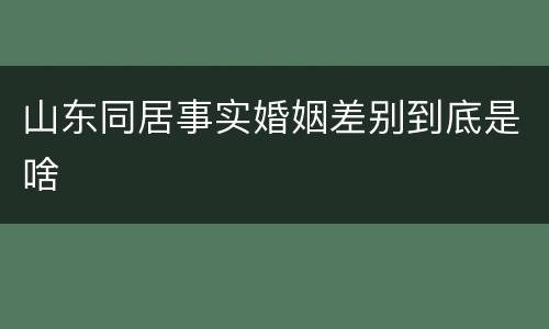 山东同居事实婚姻差别到底是啥