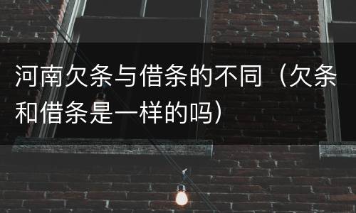 河南欠条与借条的不同（欠条和借条是一样的吗）
