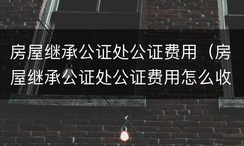 房屋继承公证处公证费用（房屋继承公证处公证费用怎么收费）