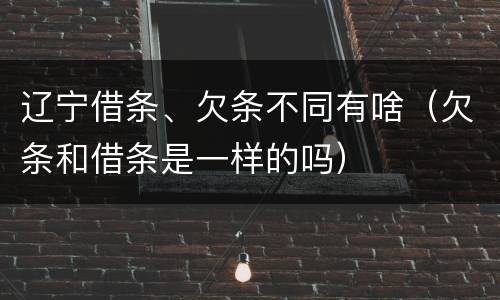 辽宁借条、欠条不同有啥（欠条和借条是一样的吗）