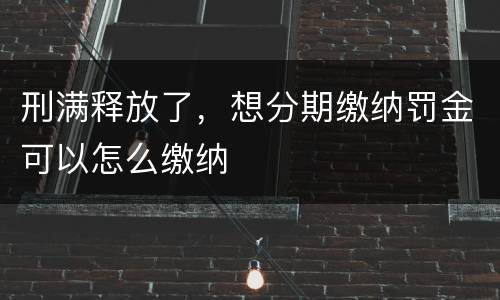 刑满释放了，想分期缴纳罚金可以怎么缴纳