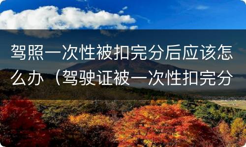 驾照一次性被扣完分后应该怎么办（驾驶证被一次性扣完分了怎么办?）