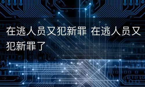 在逃人员又犯新罪 在逃人员又犯新罪了