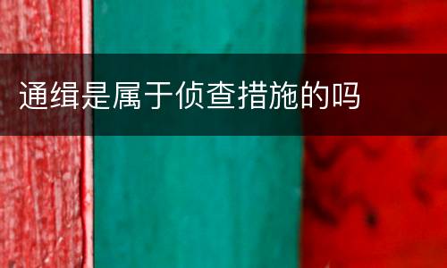 通缉是属于侦查措施的吗