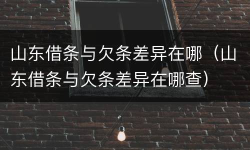 山东借条与欠条差异在哪（山东借条与欠条差异在哪查）