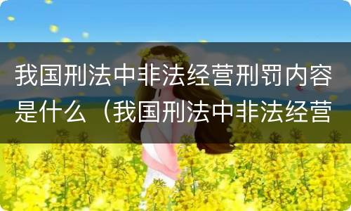 我国刑法中非法经营刑罚内容是什么（我国刑法中非法经营刑罚内容是什么意思）