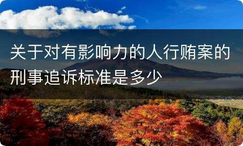 关于对有影响力的人行贿案的刑事追诉标准是多少