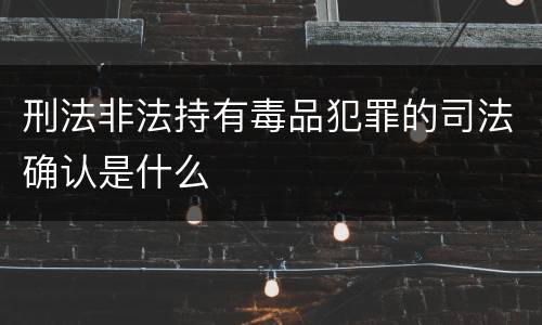 刑法非法持有毒品犯罪的司法确认是什么