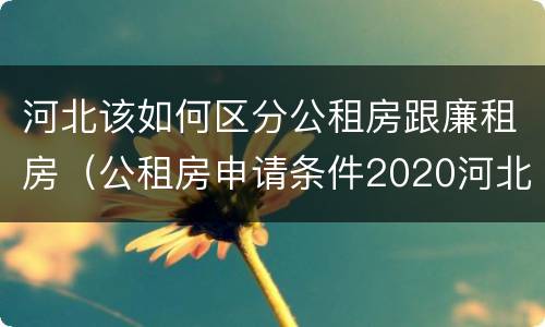 河北该如何区分公租房跟廉租房（公租房申请条件2020河北）
