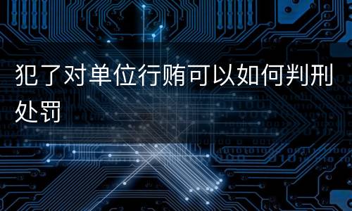 犯了对单位行贿可以如何判刑处罚