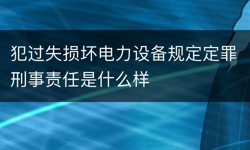 犯过失损坏电力设备规定定罪刑事责任是什么样