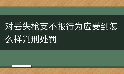 对丢失枪支不报行为应受到怎么样判刑处罚