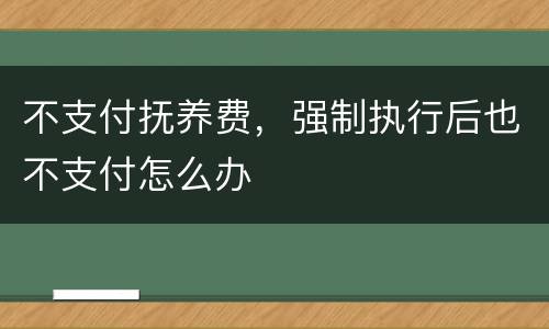 不支付抚养费，强制执行后也不支付怎么办