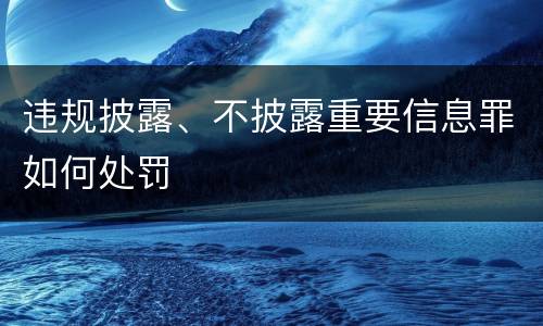 违规披露、不披露重要信息罪如何处罚