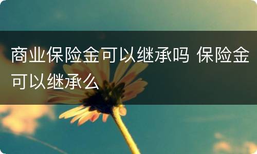 商业保险金可以继承吗 保险金可以继承么