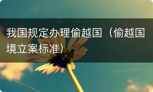 我国规定办理偷越国（偷越国境立案标准）