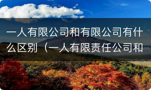 一人有限公司和有限公司有什么区别（一人有限责任公司和有限公司的区别）