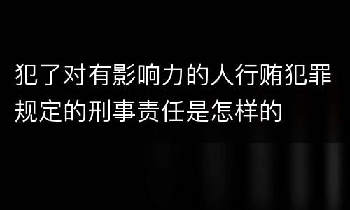 犯了对有影响力的人行贿犯罪规定的刑事责任是怎样的