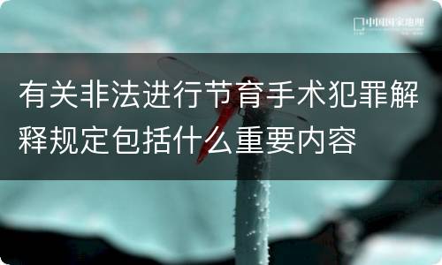 有关非法进行节育手术犯罪解释规定包括什么重要内容