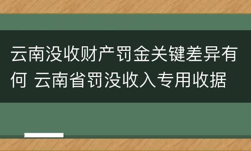 云南没收财产罚金关键差异有何 云南省罚没收入专用收据