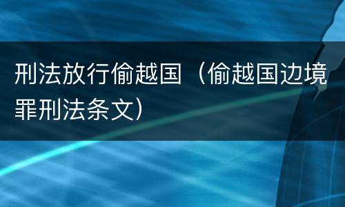 刑法放行偷越国（偷越国边境罪刑法条文）