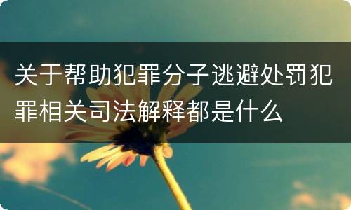 关于帮助犯罪分子逃避处罚犯罪相关司法解释都是什么