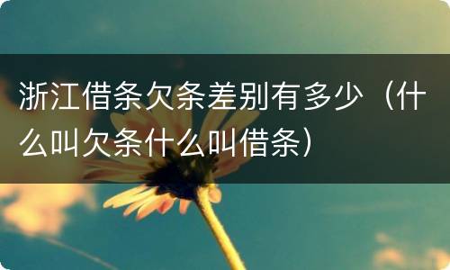 浙江借条欠条差别有多少（什么叫欠条什么叫借条）