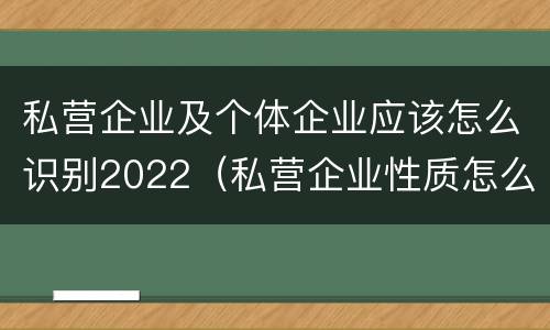 私营企业及个体企业应该怎么识别2022（私营企业性质怎么认定）