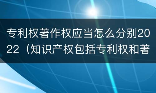专利权著作权应当怎么分别2022（知识产权包括专利权和著作权吗）
