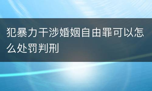犯暴力干涉婚姻自由罪可以怎么处罚判刑