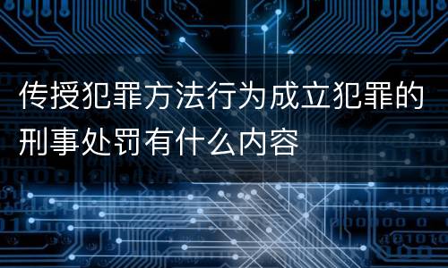 传授犯罪方法行为成立犯罪的刑事处罚有什么内容