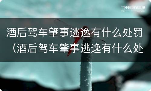 酒后驾车肇事逃逸有什么处罚（酒后驾车肇事逃逸有什么处罚标准）
