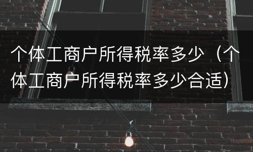 个体工商户所得税率多少（个体工商户所得税率多少合适）
