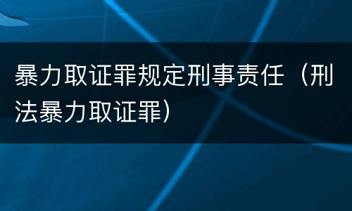 暴力取证罪规定刑事责任（刑法暴力取证罪）