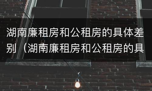 湖南廉租房和公租房的具体差别（湖南廉租房和公租房的具体差别在哪）
