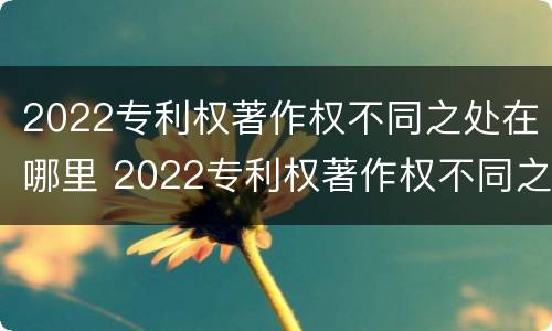 2022专利权著作权不同之处在哪里 2022专利权著作权不同之处在哪里可以查到