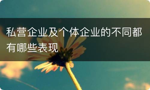 私营企业及个体企业的不同都有哪些表现