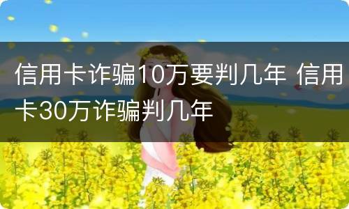 信用卡诈骗10万要判几年 信用卡30万诈骗判几年