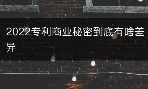 2022专利商业秘密到底有啥差异