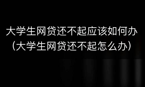 大学生网贷还不起应该如何办（大学生网贷还不起怎么办）