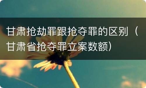 甘肃抢劫罪跟抢夺罪的区别（甘肃省抢夺罪立案数额）