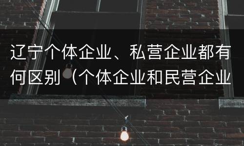 辽宁个体企业、私营企业都有何区别（个体企业和民营企业的区别）