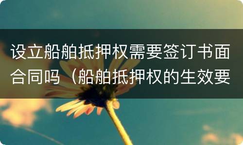 设立船舶抵押权需要签订书面合同吗（船舶抵押权的生效要件）