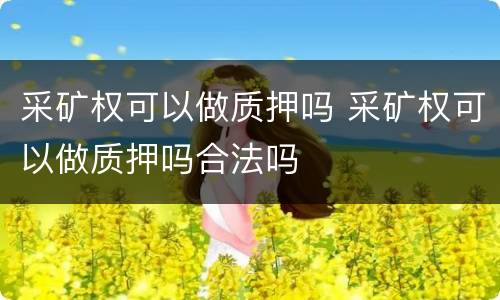 采矿权可以做质押吗 采矿权可以做质押吗合法吗
