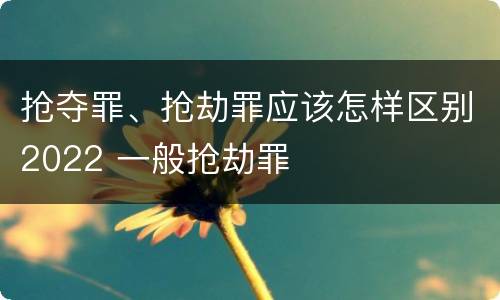 抢夺罪、抢劫罪应该怎样区别2022 一般抢劫罪