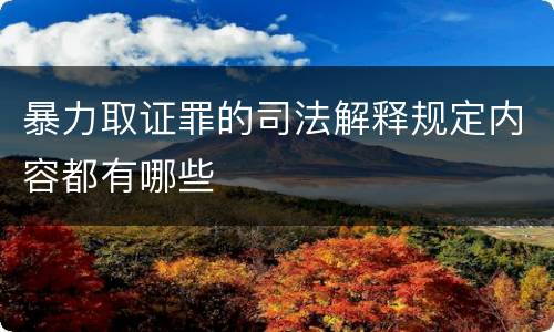 暴力取证罪的司法解释规定内容都有哪些
