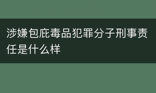 涉嫌包庇毒品犯罪分子刑事责任是什么样