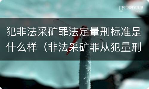 犯非法采矿罪法定量刑标准是什么样（非法采矿罪从犯量刑）