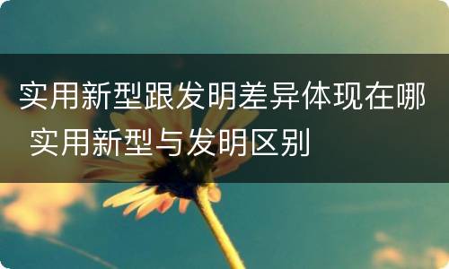 实用新型跟发明差异体现在哪 实用新型与发明区别