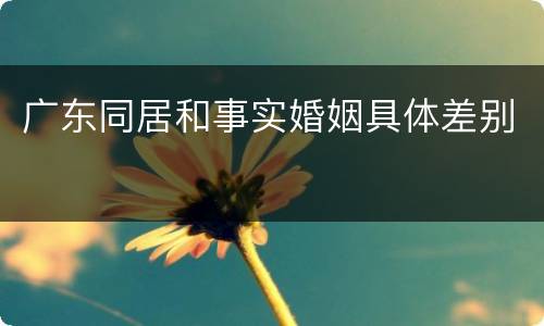 广东同居和事实婚姻具体差别